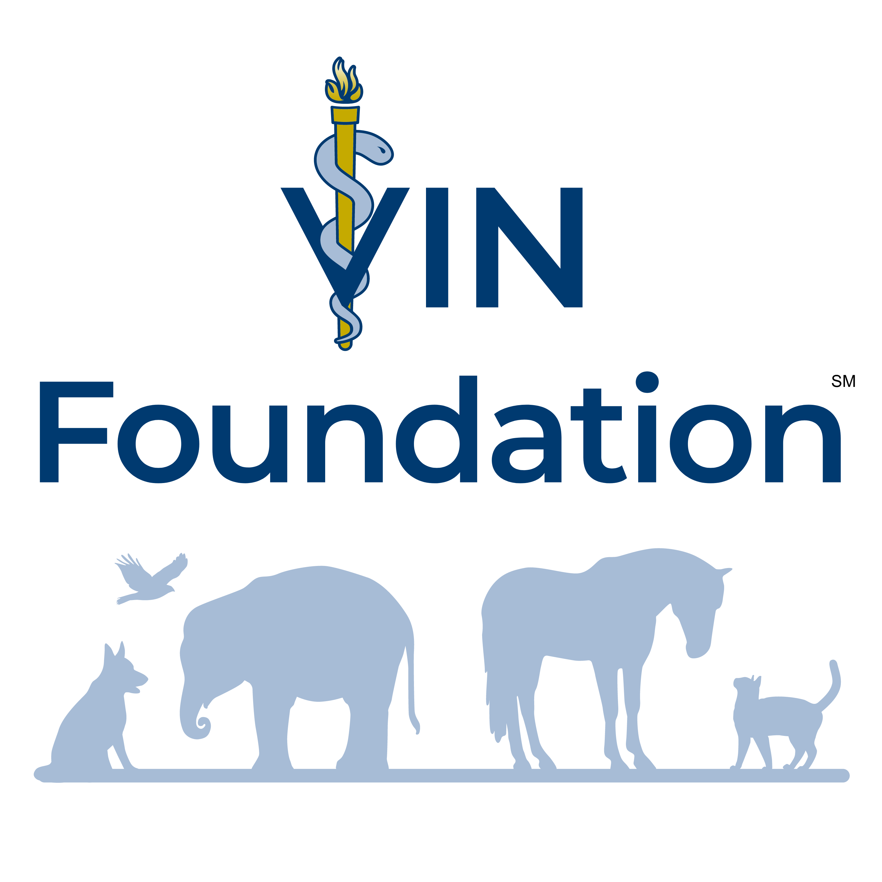 VIN Foundation
